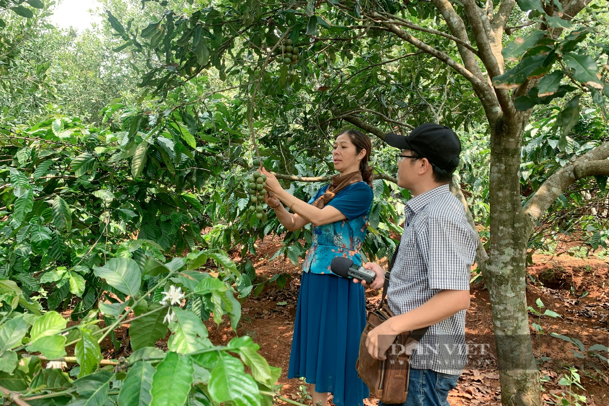 Kinh tế Đắk Nông khởi sắc, đời sống người dân nâng cao nhờ phát triển nông nghiệp và bảo tồn văn hóa - Ảnh 7.